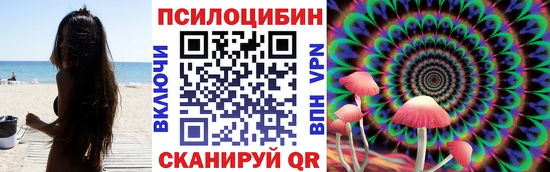Галлюциногенные грибы Psilocybine cubensis  купить   Невель 